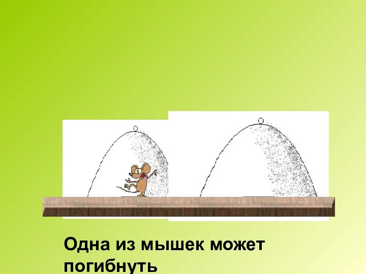 Поднимите один из колпачков. Какой колпак нужно поднять и почему. Одна из мышек может погибнуть