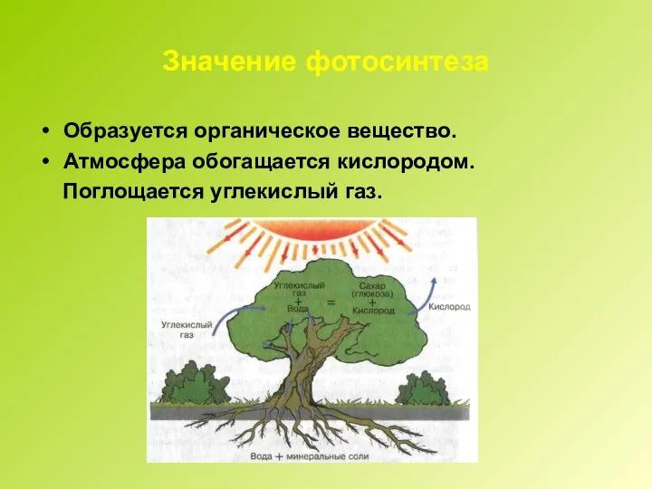 Значение фотосинтеза Образуется органическое вещество. Атмосфера обогащается кислородом. Поглощается углекислый газ.