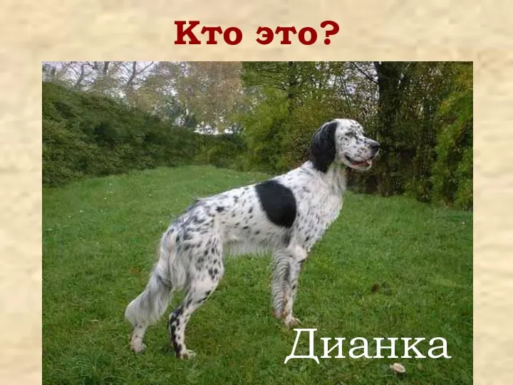 Кто это? Дианка