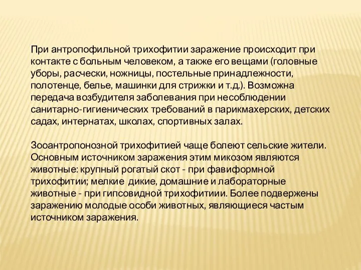 При антропофильной трихофитии заражение происходит при контакте с больным человеком, а