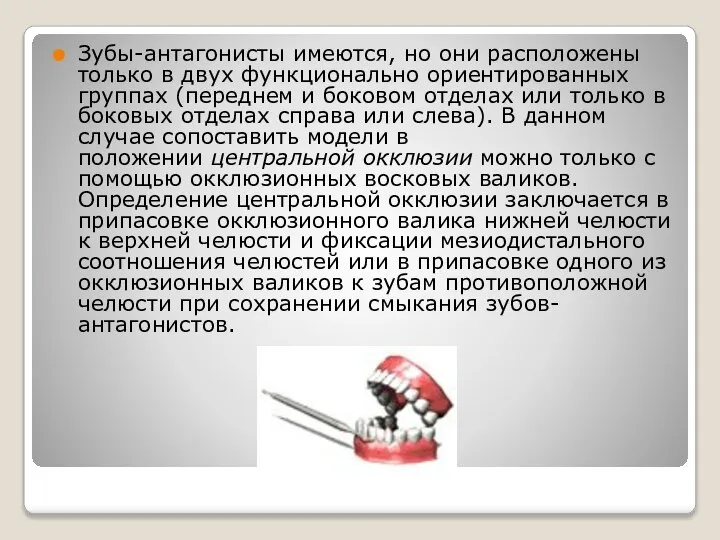 Зубы-антагонисты имеются, но они расположены только в двух функционально ориентированных группах