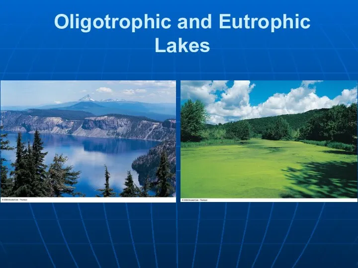 Oligotrophic and Eutrophic Lakes