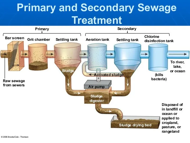 Primary and Secondary Sewage Treatment Raw sewage from sewers Bar screen