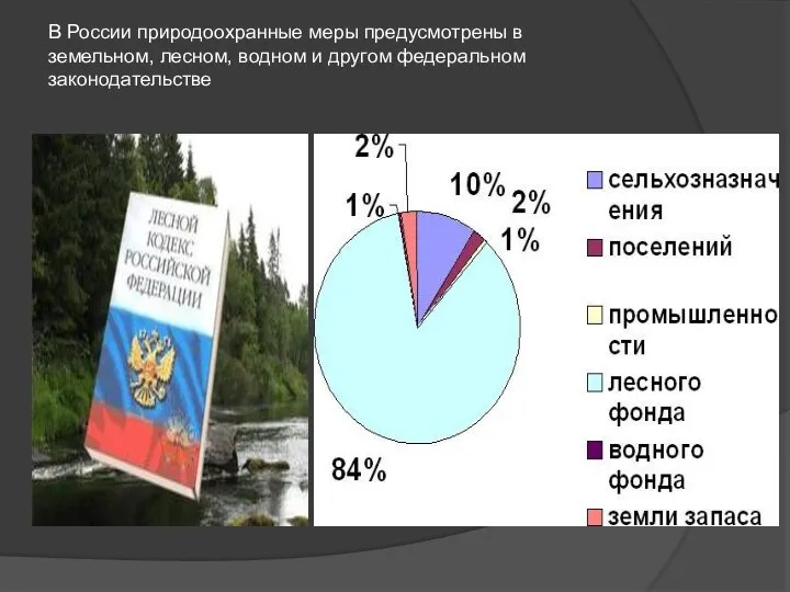 В России природоохранные меры предусмотрены в земельном, лесном, водном и другом федеральном законодательстве