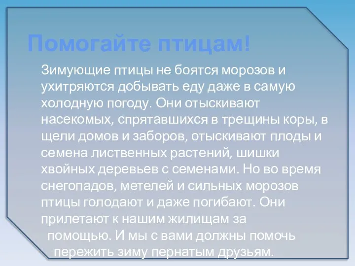 Зимующие птицы не боятся морозов и ухитряются добывать еду даже в