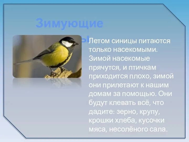 Зимующие птицы Летом синицы питаются только насекомыми. Зимой насекомые прячутся, и