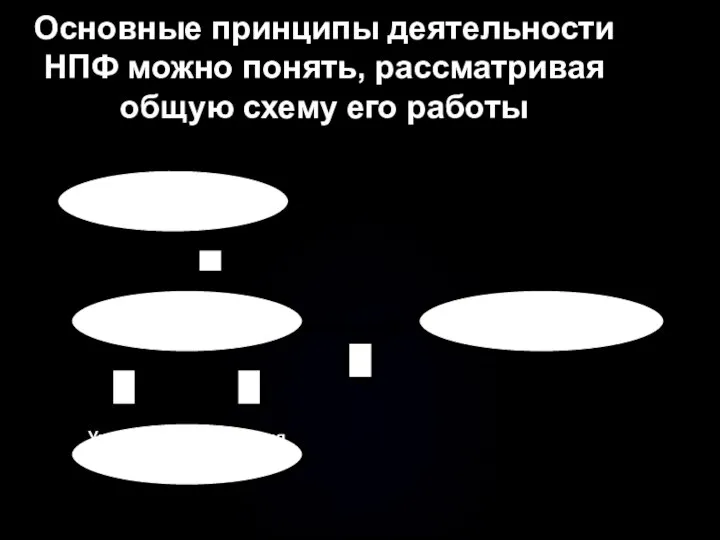 Основные принципы деятельности НПФ можно понять, рассматривая общую схему его работы