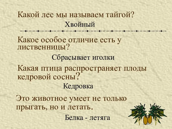 Какой лес мы называем тайгой? Хвойный Какое особое отличие есть у