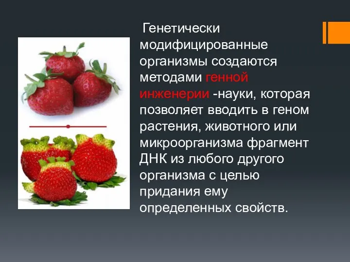 Генетически модифицированные организмы создаются методами генной инженерии -науки, которая позволяет вводить