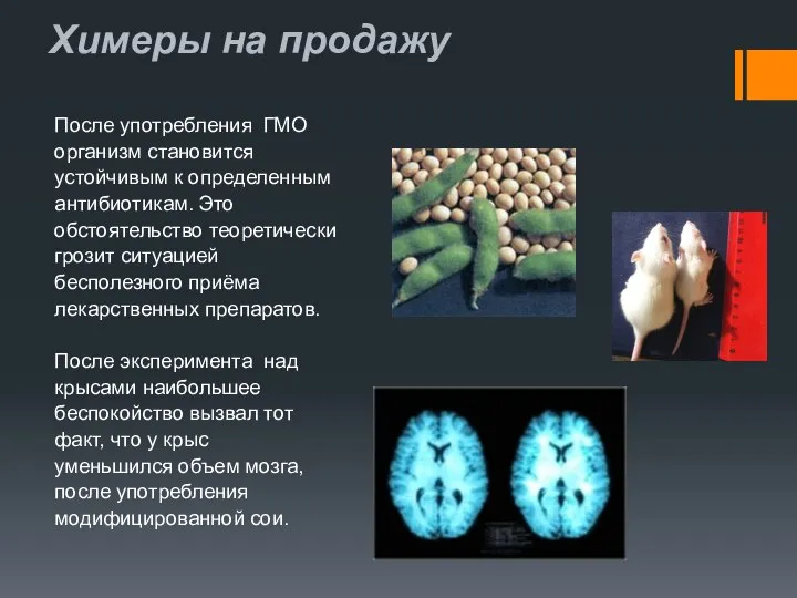 Химеры на продажу После употребления ГМО организм становится устойчивым к определенным