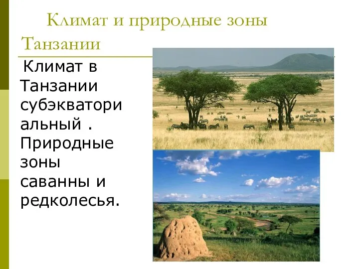 Климат и природные зоны Танзании Климат в Танзании субэкваториальный . Природные зоны саванны и редколесья.