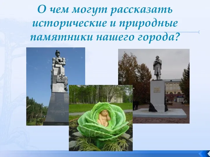 О чем могут рассказать исторические и природные памятники нашего города?