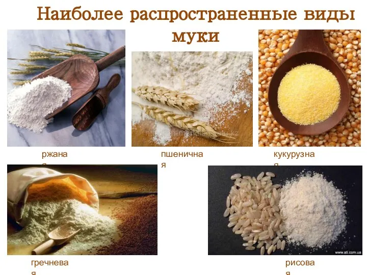 Наиболее распространенные виды муки ржаная кукурузная гречневая рисовая пшеничная