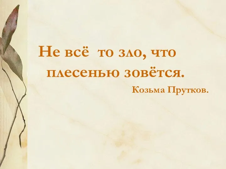 Не всё то зло, что плесенью зовётся. Козьма Прутков.