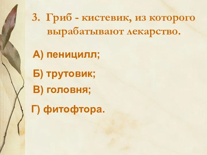 3. Гриб - кистевик, из которого вырабатывают лекарство. А) пеницилл; Б) трутовик; В) головня; Г) фитофтора.