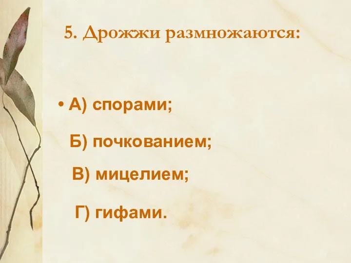 5. Дрожжи размножаются: А) спорами; Б) почкованием; В) мицелием; Г) гифами.