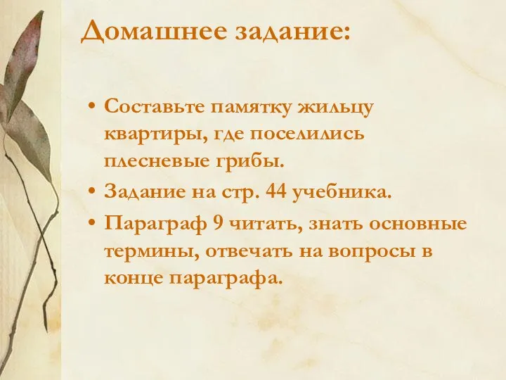 Домашнее задание: Составьте памятку жильцу квартиры, где поселились плесневые грибы. Задание