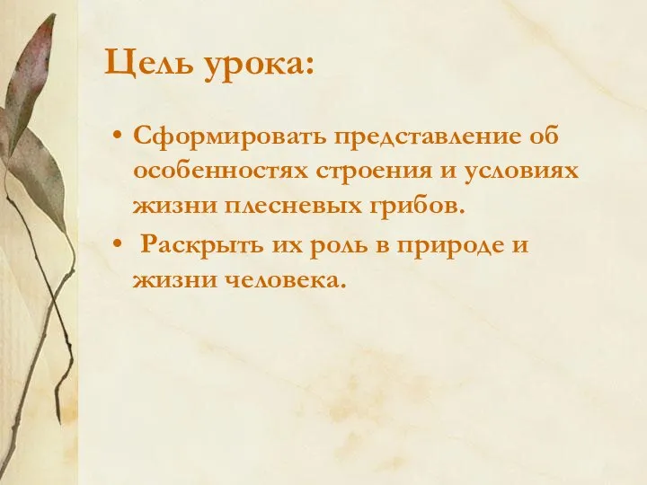 Цель урока: Сформировать представление об особенностях строения и условиях жизни плесневых