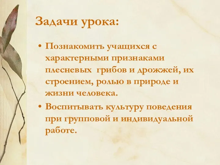 Задачи урока: Познакомить учащихся с характерными признаками плесневых грибов и дрожжей,