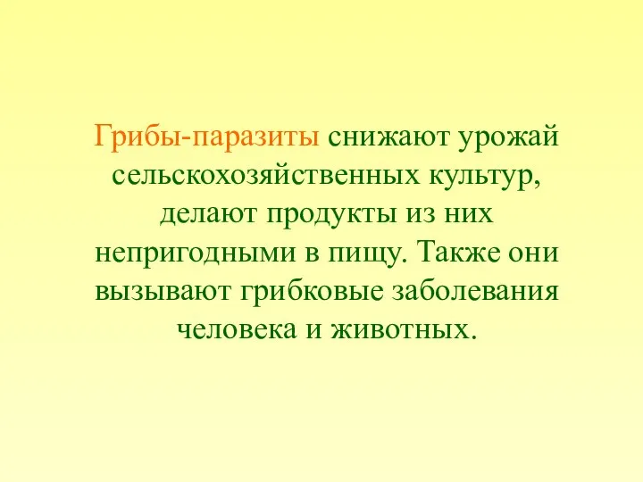 Грибы-паразиты снижают урожай сельскохозяйственных культур, делают продукты из них непригодными в