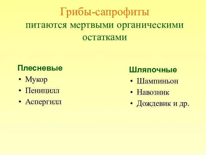 Грибы-сапрофиты питаются мертвыми органическими остатками Плесневые Мукор Пеницилл Аспергилл Шляпочные Шампиньон Навозник Дождевик и др.