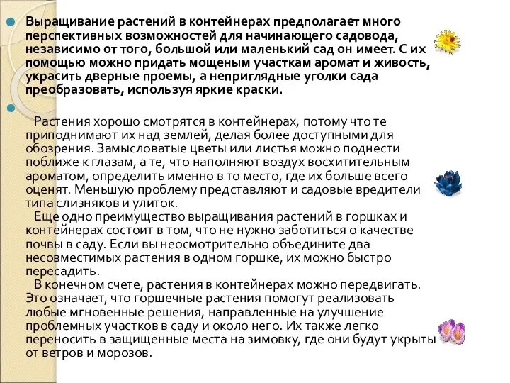 Выращивание растений в контейнерах предполагает много перспективных возможностей для начинающего садовода,