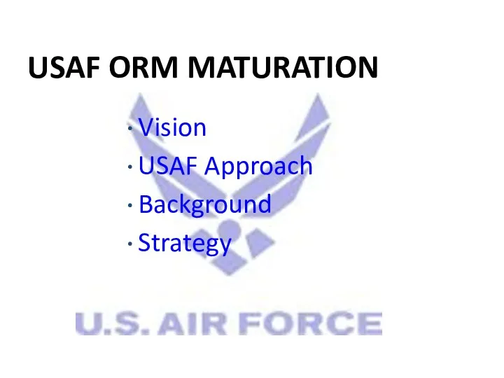 USAF ORM MATURATION Vision USAF Approach Background Strategy