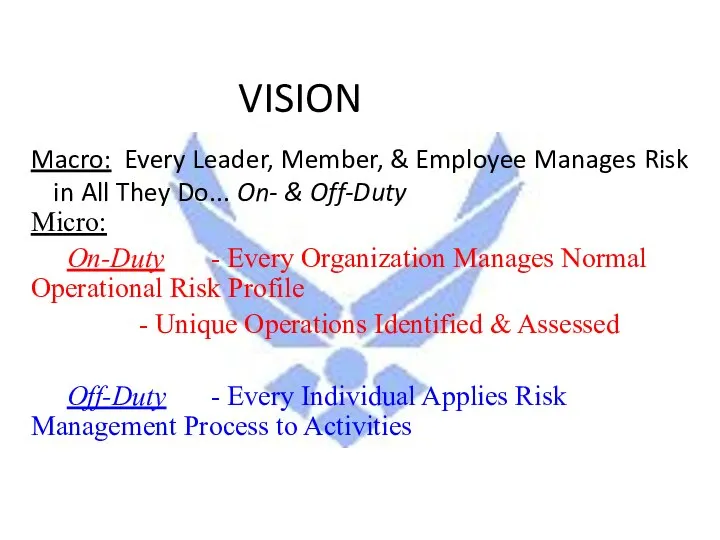 VISION Macro: Every Leader, Member, & Employee Manages Risk in All