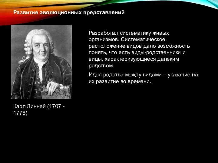 Развитие эволюционных представлений Разработал систематику живых организмов. Систематическое расположение видов дало