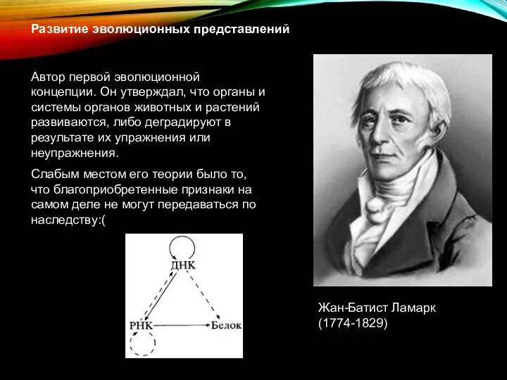 Развитие эволюционных представлений Жан-Батист Ламарк (1774-1829) Автор первой эволюционной концепции. Он