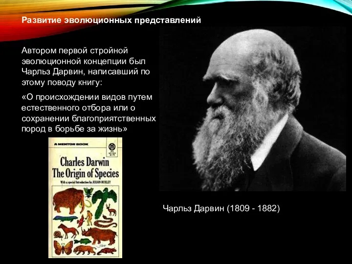 Развитие эволюционных представлений Автором первой стройной эволюционной концепции был Чарльз Дарвин,