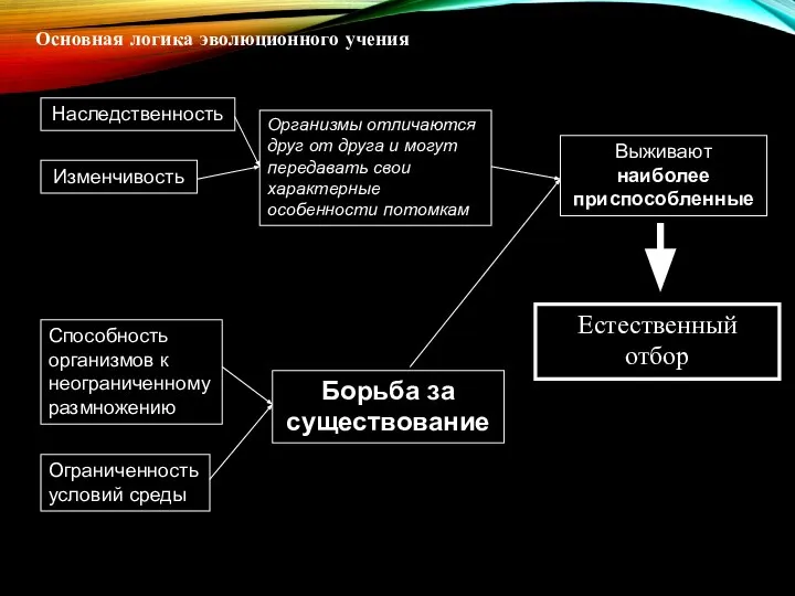 Основная логика эволюционного учения Наследственность Изменчивость Способность организмов к неограниченному размножению