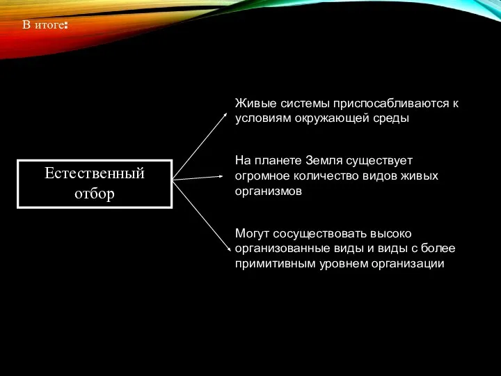 Естественный отбор В итоге: Живые системы приспосабливаются к условиям окружающей среды