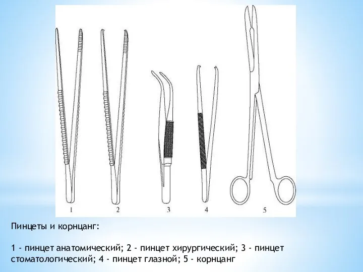 Пинцеты и корнцанг: 1 - пинцет анатомический; 2 - пинцет хирургический;