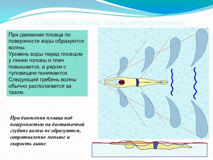 Сопротивление волнообразования При движении пловца по поверхности воды образуются волны. Уровень