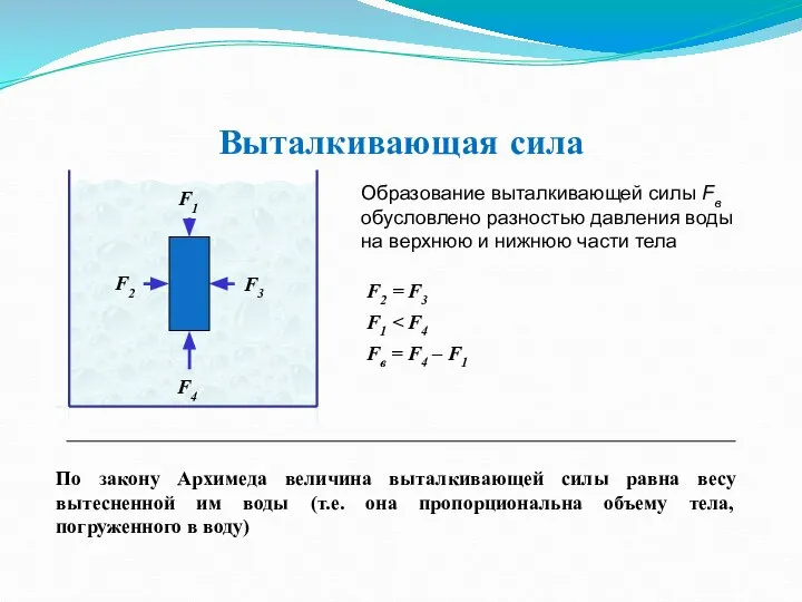Выталкивающая сила F4 F1 F3 F2 Образование выталкивающей силы Fв обусловлено