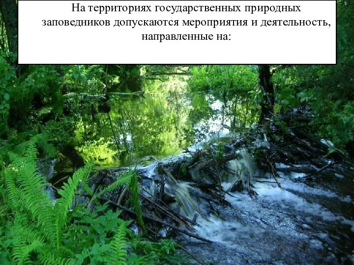 На территориях государственных природных заповедников допускаются мероприятия и деятельность, направленные на: