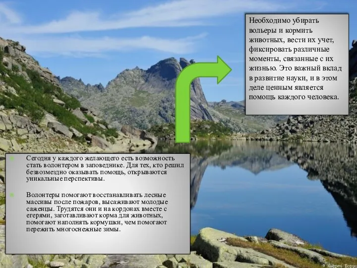 Сегодня у каждого желающего есть возможность стать волонтером в заповеднике. Для