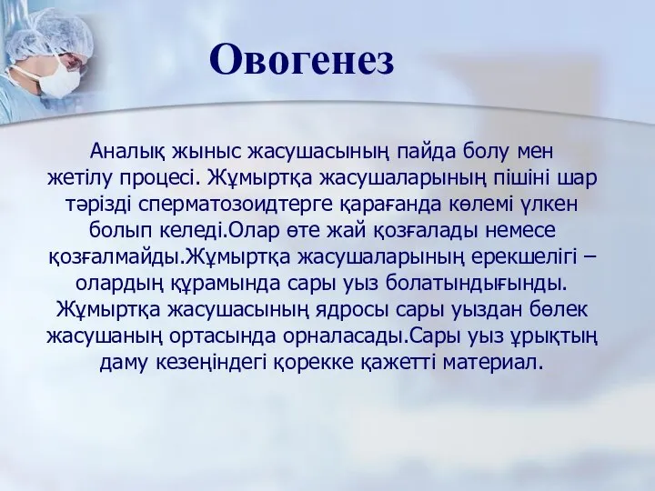 Аналық жыныс жасушасының пайда болу мен жетілу процесі. Жұмыртқа жасушаларының пішіні