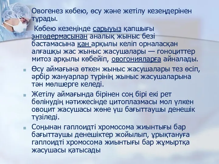 Овогенез көбею, өсу және жетілу кезеңдерінен тұрады. Көбею кезеңінде сарыуыз қапшығы