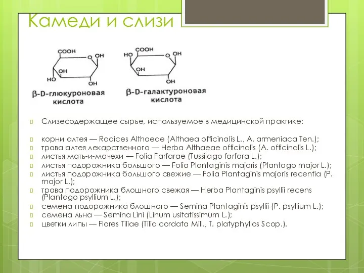 Камеди и слизи Слизесодержащее сырье, используемое в медицинской практике: корни алтея