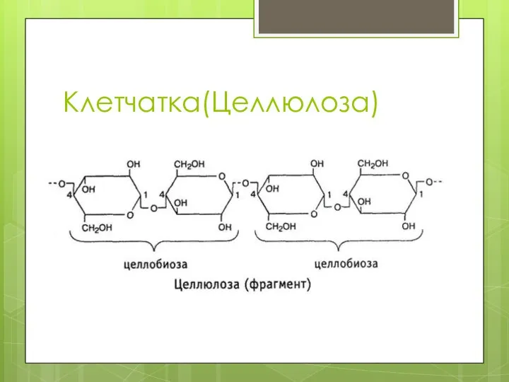 Клетчатка(Целлюлоза)