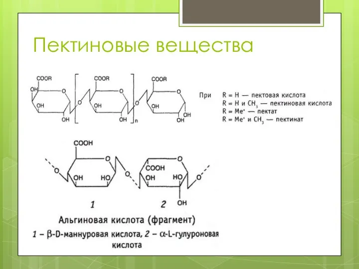 Пектиновые вещества