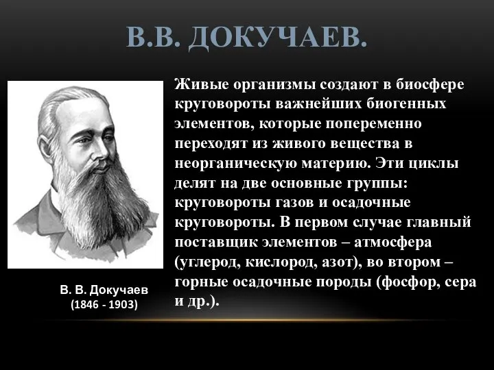 В. В. Докучаев (1846 - 1903) Живые организмы создают в биосфере