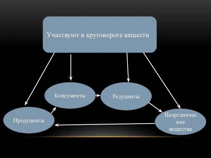 Участвуют в круговороте веществ Продуценты Консументы Редуценты Неорганические вещества