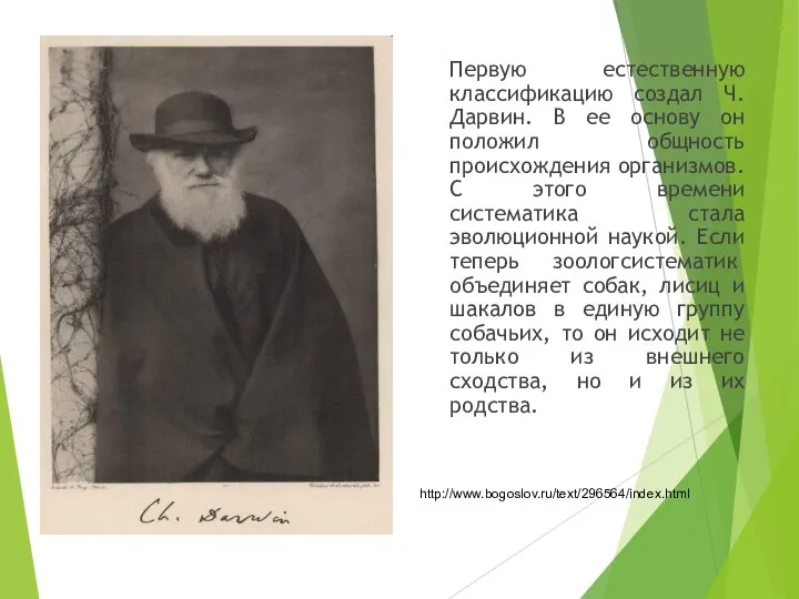 Первую естественную классификацию создал Ч. Дарвин. В ее основу он положил