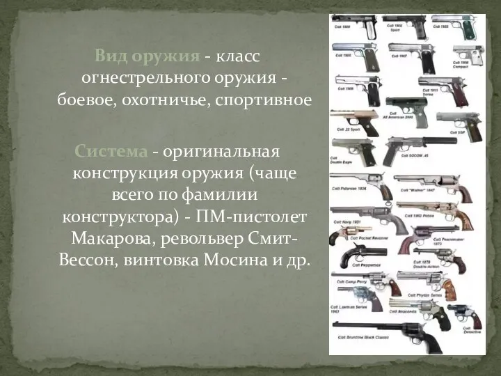 Вид оружия - класс огнестрельного оружия - боевое, охотничье, спортивное Система