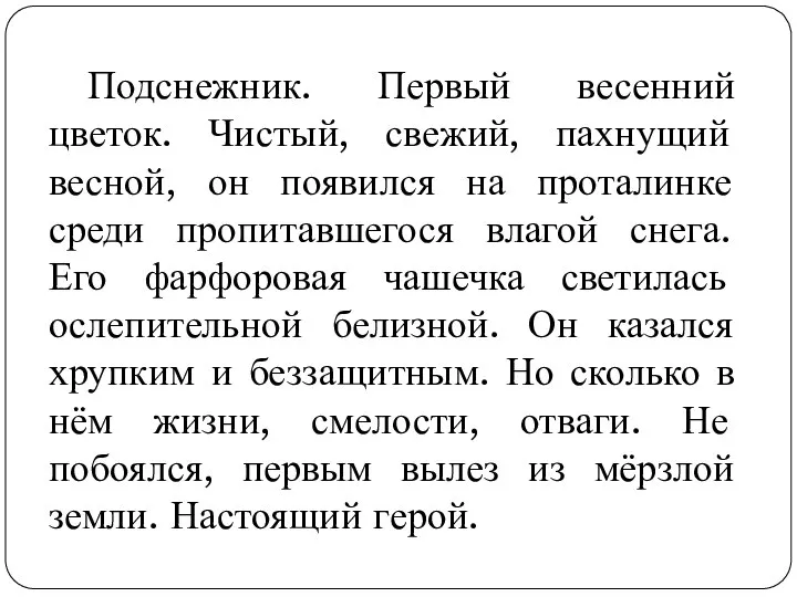 Подснежник. Первый весенний цветок. Чистый, свежий, пахнущий весной, он появился на