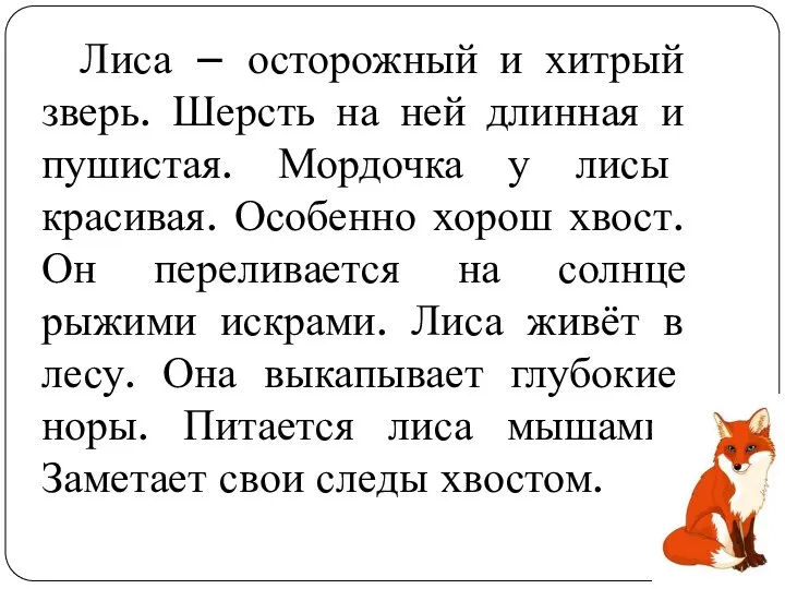 Лиса – осторожный и хитрый зверь. Шерсть на ней длинная и