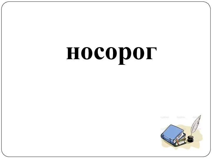 носорог